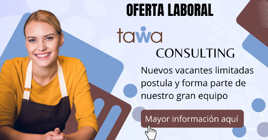 consultoria, analistas, asistentes, procesos, contabilidad empleos, trabajos