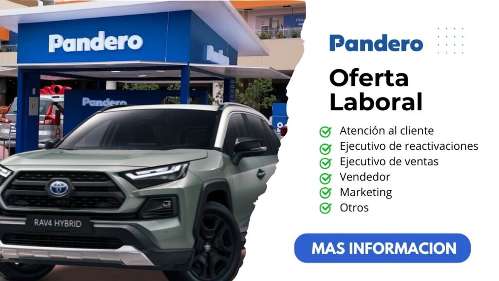 Bolsa de trabajo pandero